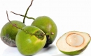 Ngưỡng thiệt hại của dừa non (Cocos nucifera L.) ở hai giai đoạn tăng trưởng